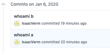 github username change